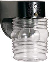 Satco Products Inc. 77-856 - One Light Chrome Outdoor Wall Light