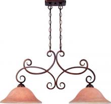 Dolan Designs 2097-133 - Two Light Bronze Island Light