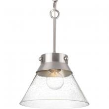  P350139-009 - POINT DUMEÂ® byJeffrey Alan Marks for Progress Lighting Tapia Trail Collection Brushed Nickel  Semi-