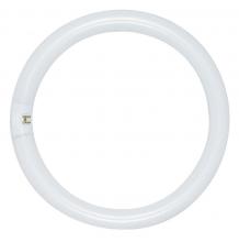  S6503 - 32 Watt; T9; Circline Fluorescent; 4100K Cool White; 62 CRI; 4-Pin base