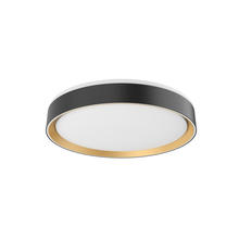  FM43916-BK/GD - Essex 16-in Black/Gold LED Flush Mount