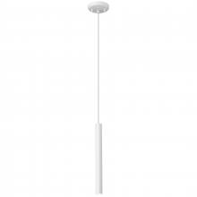  72022LEDD-MWH/ACR - LED Pendant